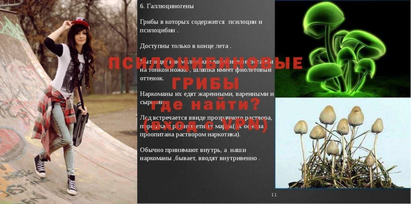 мескалин Заволжск