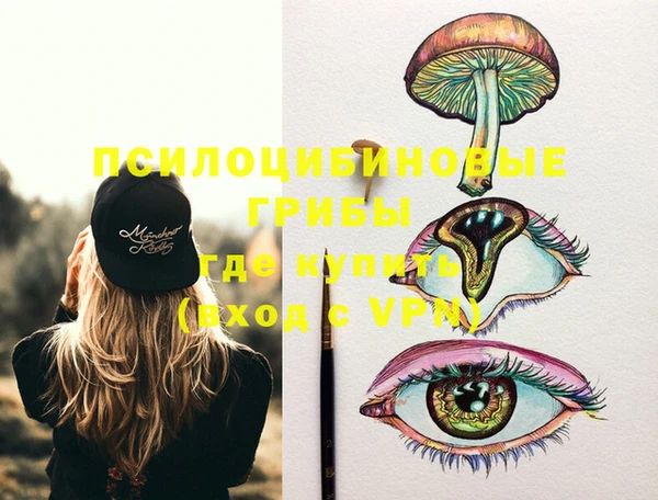 спиды Заводоуковск